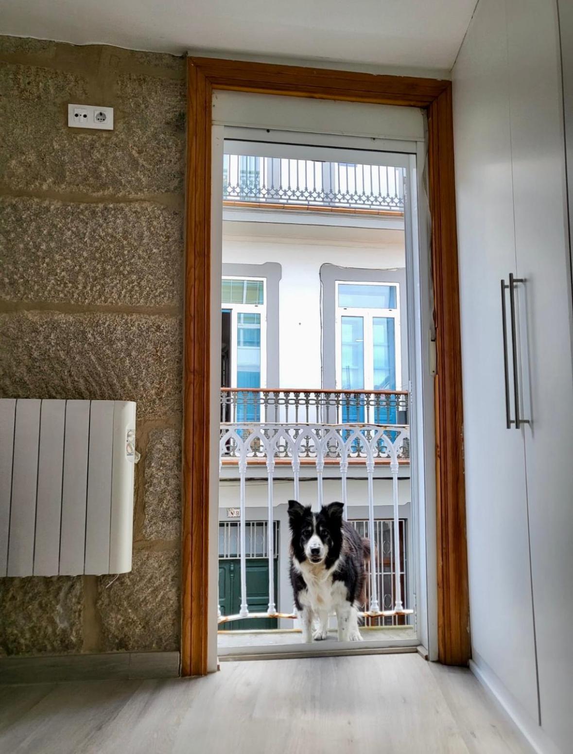 Apartamento Centrico Y Acogedor Comarca de Comarca de Vigo Buitenkant foto