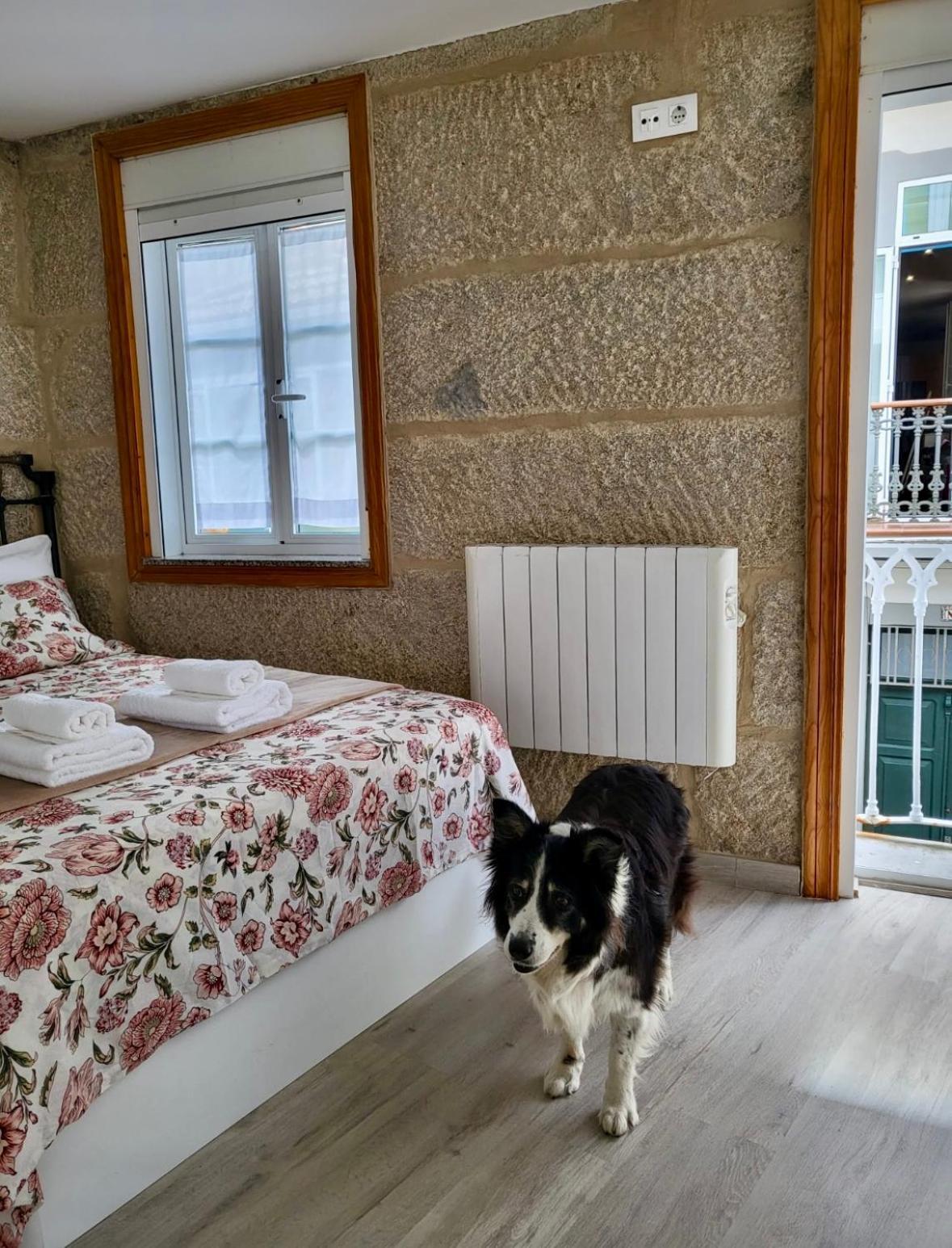 Apartamento Centrico Y Acogedor Comarca de Comarca de Vigo Buitenkant foto